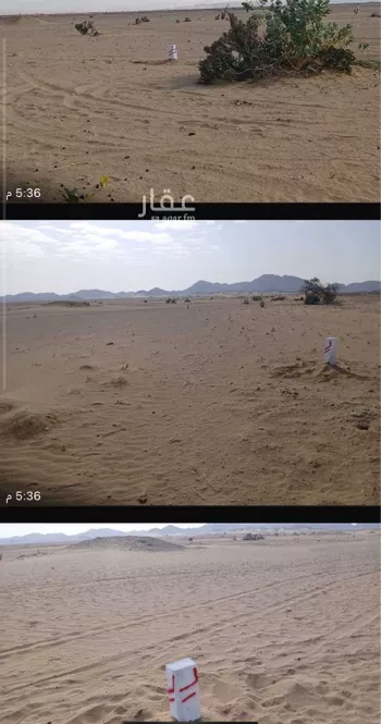 أرض للبيع في حي المجد, مدينة جدة, منطقة مكة المكرمة صورة 3