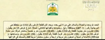 أرض للبيع في حي المرجانية, مدينة رابغ, منطقة مكة المكرمة صورة 3