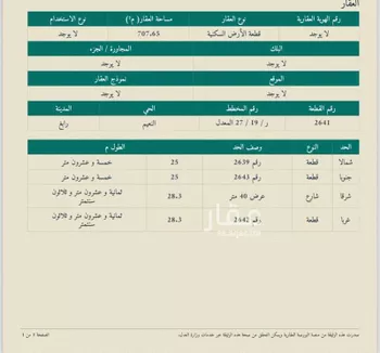 أرض للبيع في شارع العام, حي النعيم, مدينة رابغ, منطقة مكة المكرمة صورة 2