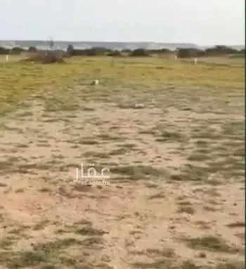 أرض للبيع في شارع العام, حي جوهرة ثول, مدينة ثول, منطقة مكة المكرمة صورة 4