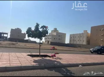 أرض للبيع في شارع العام, حي بلدة ثول, مدينة ثول, منطقة مكة المكرمة صورة 4