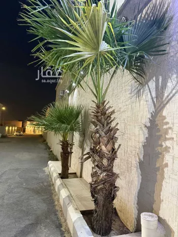 عمارة للبيع في شارع علي الدرويش, حي الضرس, مدينة محائل, منطقة عسير صورة 5
