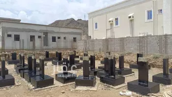 دور للبيع في شارع طريق الشعبين, حي الزمرة, مدينة الزمرة, منطقة عسير صورة 2