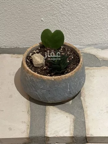 شقة للإيجار في شارع الحماسة, حي الملقا, مدينة الرياض, منطقة الرياض صورة 5