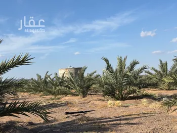مزرعة للبيع في حي المليليح, مدينة المدينه المنوره, منطقة المدينة المنورة صورة 2