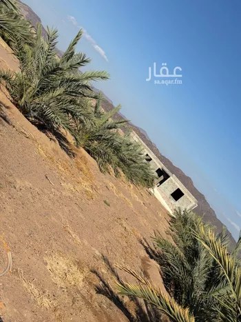 مزرعة للبيع في حي المليليح, مدينة المدينه المنوره, منطقة المدينة المنورة صورة 3