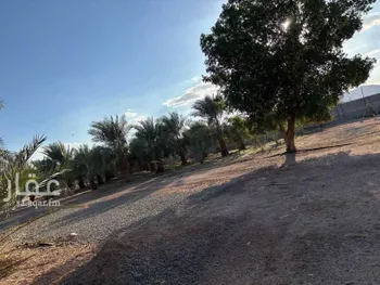 استراحة للبيع في شارع 000000000000000, حي المليليح, مدينة المدينه المنوره, منطقة المدينة المنورة صورة 3