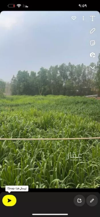 مزرعة للبيع في شارع ابو الحكم الانصاري ، حي بحرة ، الدرب ، الدرب صورة 2