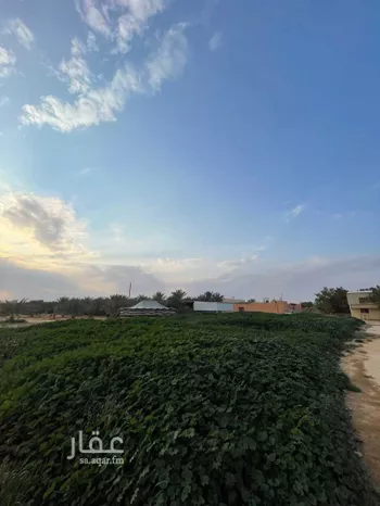 مزرعة للبيع في حي مزارع قصر سعود (السحق), مدينة مزارع قصر سعود (السحق), منطقة الرياض صورة 2