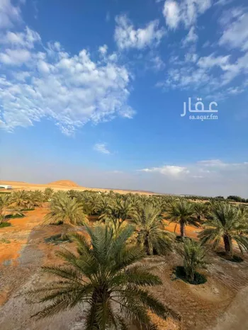 مزرعة للبيع في حي مزارع قصر سعود (السحق), مدينة مزارع قصر سعود (السحق), منطقة الرياض صورة 5