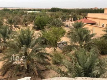 مزرعة للبيع في شارع صلاصل, حي موسسة ناصر علي السحيباني لانشاء الطرق, مدينة بقيق, المنطقة الشرقية صورة 4