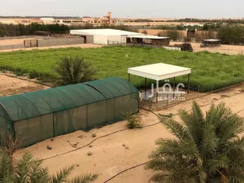 مزرعة للبيع في شارع صلاصل, حي موسسة ناصر علي السحيباني لانشاء الطرق, مدينة بقيق, المنطقة الشرقية صورة 3
