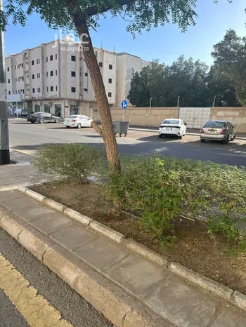 أرض للبيع في شارع مالك بن انس, حي الراية, مدينة المدينه المنوره, منطقة المدينة المنورة صورة 4