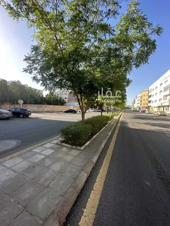 أرض للبيع في شارع مالك بن انس, حي الراية, مدينة المدينه المنوره, منطقة المدينة المنورة صورة 3