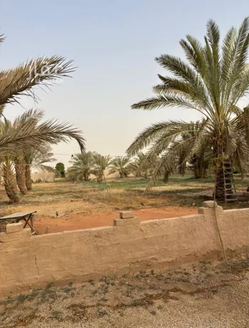 مزرعة للبيع في شارع بريد الاسلمي, حي قصور ال مقبل, مدينة مزارع البطين ومزرعه دواجن, منطقة الرياض صورة 2
