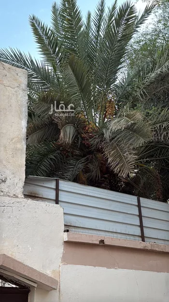 أرض للبيع في شارع سعد بن حبان, حي العزيزية, مدينة المدينه المنوره, منطقة المدينة المنورة صورة 5