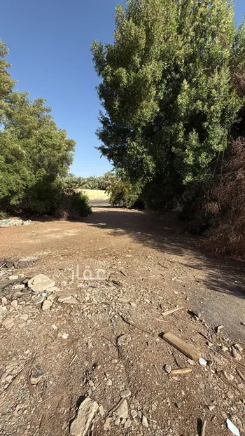 أرض للبيع في حي السيح, مدينة المدينه المنوره, منطقة المدينة المنورة