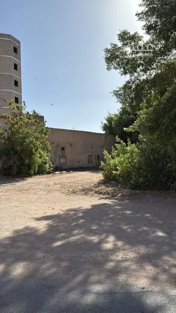 أرض للبيع في حي السيح, مدينة المدينه المنوره, منطقة المدينة المنورة صورة 5