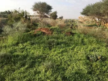 مزرعة للبيع في شارع المجمعه, مدينة جوى, منطقة الرياض صورة 5