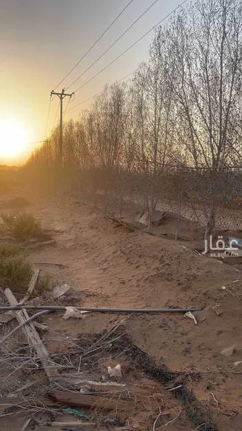 مزرعة للبيع في عسفان ، الجموم صورة 3