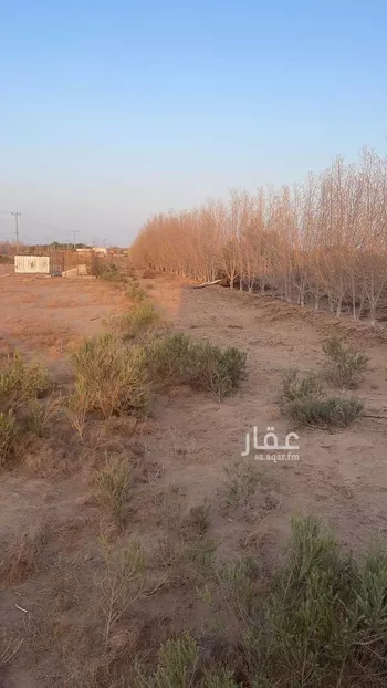 مزرعة للبيع في عسفان ، الجموم صورة 4