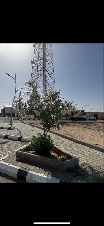 أرض للبيع في شارع طريق الملك عبدالعزيز, حي الحي الشمالي, مدينة الفويلق, منطقة القصيم صورة 2