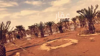 أرض للإيجار في حي مزارع الحماده, مدينة مزارع الحماده, منطقة الرياض صورة 3