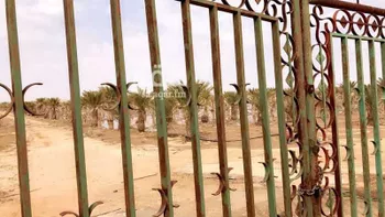 أرض للإيجار في حي مزارع الحماده, مدينة مزارع الحماده, منطقة الرياض صورة 2