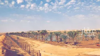 أرض للإيجار في حي مزارع الحماده, مدينة مزارع الحماده, منطقة الرياض