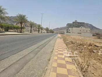 أرض للبيع في شارع المهلب ابن ابي صفره, حي الحيلة الغربي, مدينة محائل, منطقة عسير صورة 3