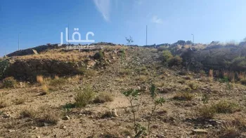 أرض للبيع في حي الواحة, مدينة الباحة, منطقة الباحة صورة 4