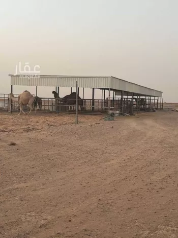 مزرعة للبيع في شارع الفويلق الشمالي 65 ، الربواء ، القويعية صورة 4