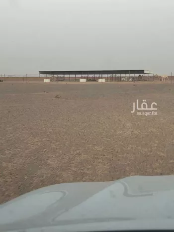 مزرعة للبيع في شارع الفويلق الشمالي 65 ، الربواء ، القويعية صورة 5