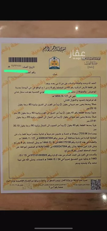 أرض للبيع في شارع شارع فرعي, حي الروضة, مدينة ابو عريش - ابو عريش, منطقة جازان صورة 3