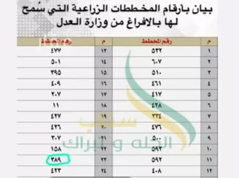أرض للبيع في مدينة هجرة الزهوه والبيان, منطقة الرياض صورة 4