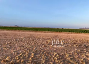 مزرعة للبيع في شارع مزرعه, حي جانين, مدينة جانين, منطقة حائل صورة 2