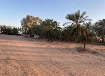 مزرعة للبيع في شارع مزرعه, حي جانين, مدينة جانين, منطقة حائل