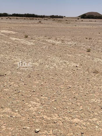 أرض للبيع في شارع شارع الملك فيصل, حي مزارع قصر سعود (السحق), مدينة مزارع قصر سعود (السحق), منطقة الرياض صورة 2