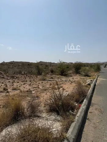 أرض للبيع في شارع شارع المجمع, حي الورود, مدينة احد رفيدة - الواديين, منطقة عسير