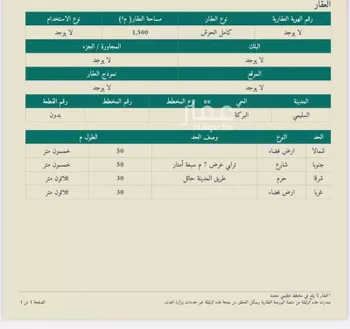 أرض للبيع في شارع ١٠٠, حي البركة, مدينة السليمي - البركه, منطقة حائل صورة 2