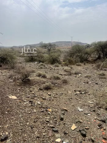 أرض للبيع في حي الموسم, مدينة ابها, منطقة عسير