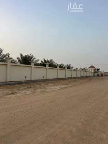 مزرعة للحجز في شارع عبدالرحمن ابن معاذ ابن عثمان, الجديدة صورة 3