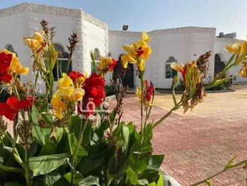 شاليه واستراحة للحجز في شارع نصر الزواوي ، حي بلدة ذهبان ، جدة ، جدة صورة 3