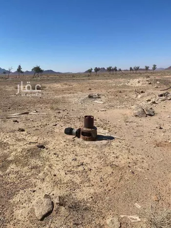 مزرعة للبيع في حي العموده الشماليه والجنوبيه, مدينة العموده الشماليه والجنوبيه, منطقة القصيم صورة 2
