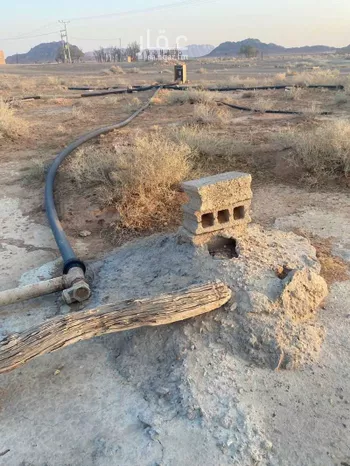 مزرعة للبيع في حي العموده الشماليه والجنوبيه, مدينة العموده الشماليه والجنوبيه, منطقة القصيم صورة 2