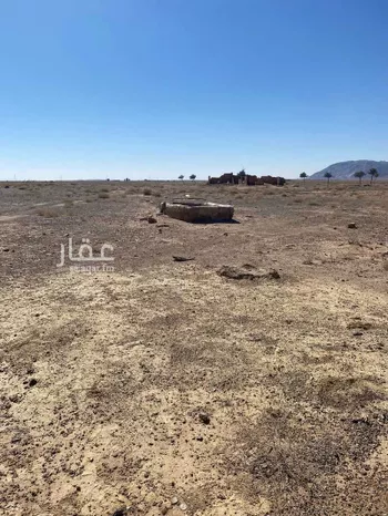 مزرعة للبيع في حي العموده الشماليه والجنوبيه, مدينة العموده الشماليه والجنوبيه, منطقة القصيم صورة 3