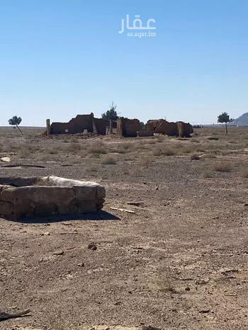 مزرعة للبيع في حي العموده الشماليه والجنوبيه, مدينة العموده الشماليه والجنوبيه, منطقة القصيم صورة 5