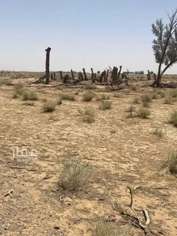 مزرعة للبيع في حي العموده الشماليه والجنوبيه, مدينة العموده الشماليه والجنوبيه, منطقة القصيم صورة 3