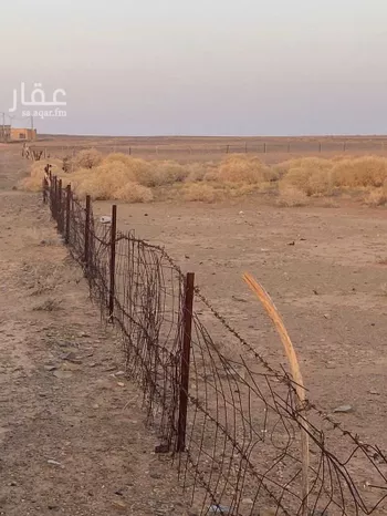 مزرعة للبيع في حي العموده الشماليه والجنوبيه, مدينة العموده الشماليه والجنوبيه, منطقة القصيم صورة 5