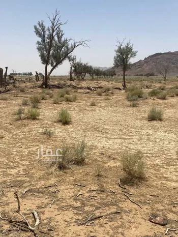 مزرعة للبيع في حي العموده الشماليه والجنوبيه, مدينة العموده الشماليه والجنوبيه, منطقة القصيم